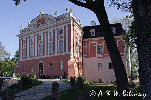 Kurozwęki, zamek - pałac