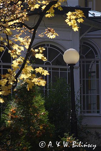 Lądek Zdrój, uzdrowisko