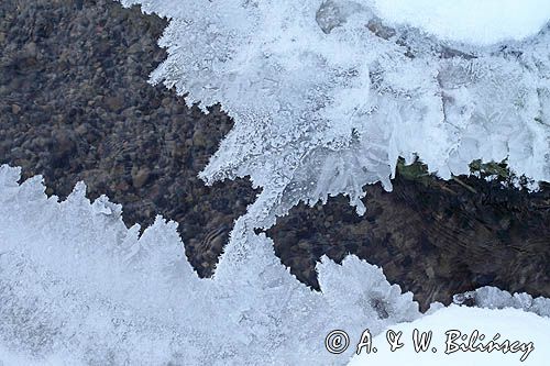 Lód na potoku, Bieszczady