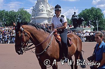 Londyn, policjantka konna, policja konna, Anglia