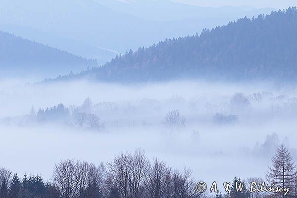Świtowe mgły w okolicy Lutowisk, Bieszczady