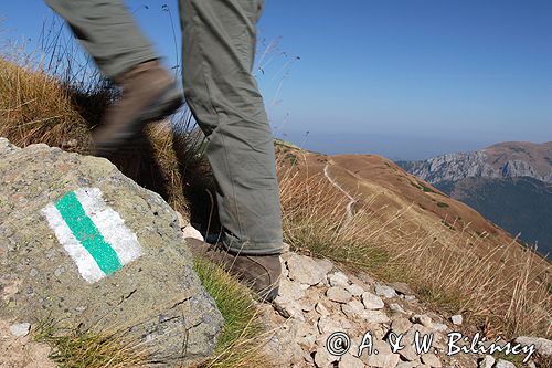 na szlaku w tatrach