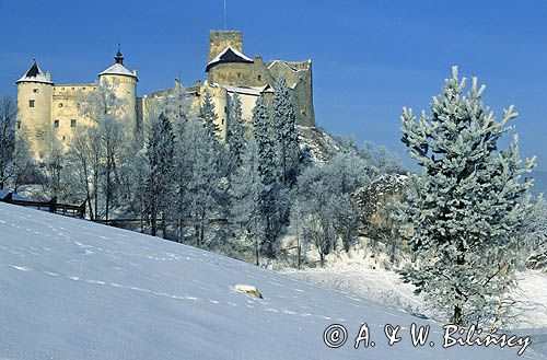 Niedzica zamek