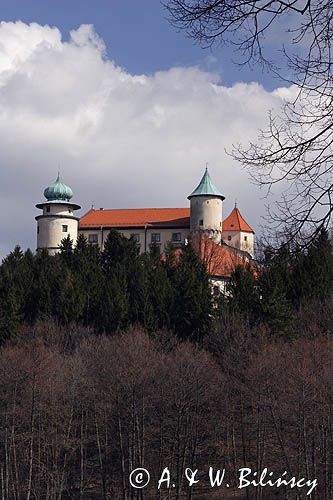 Nowy Wiśnicz, zamek, Pogórze Wiśnickie