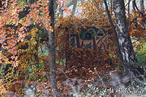 czatownia, ukrycie dla fotografa przyrody