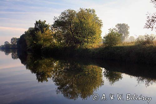 rzeka Odra koło Koźla