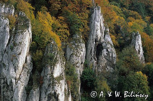 Ojcowski Park Narodowy skały wapienne