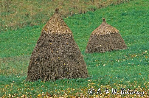Ojcowski Park Narodowy