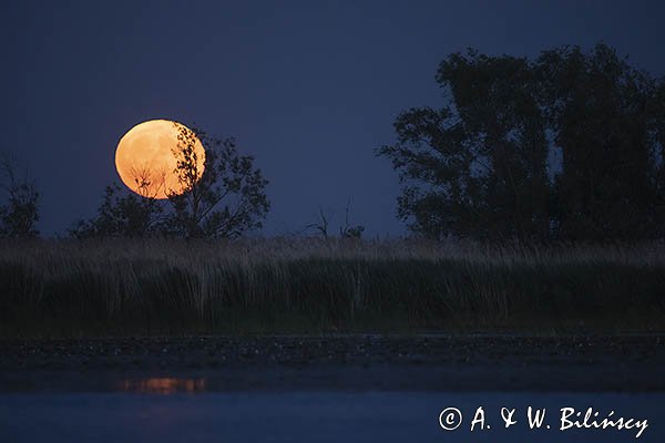Pełnia Księżyca, żuławy Wiślane