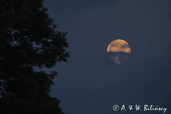 Pełnia Księżyca