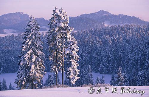 Pieniny zimą