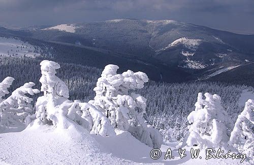 Pilsko, Beskid żywiecki