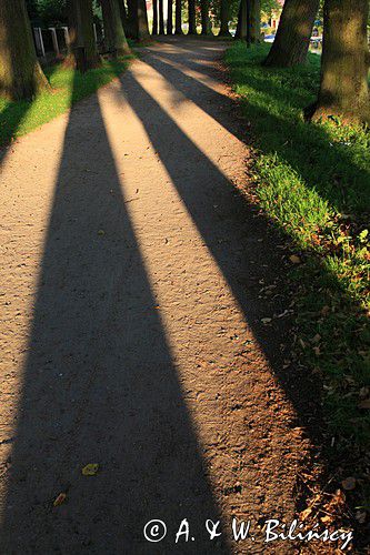 park w Plau am See, Pojezierze Meklemburskie, Meklemburgia-Pomorze Przednie, Niemcy