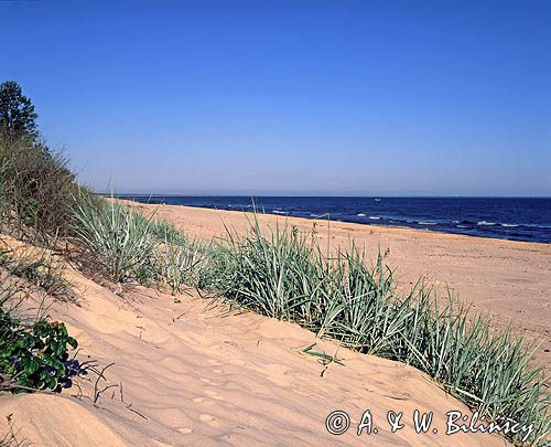 plaża nad Bałtykiem