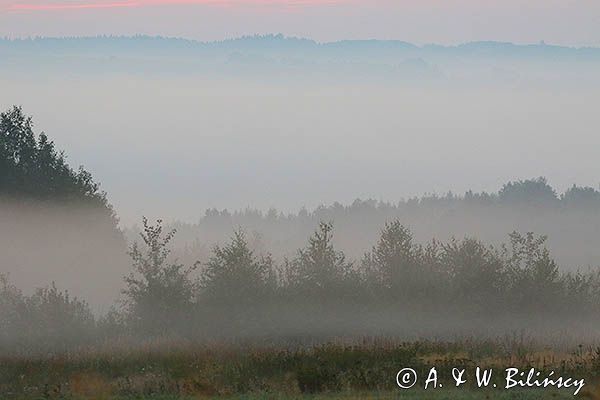 Świt, Pogórze Dynowskie