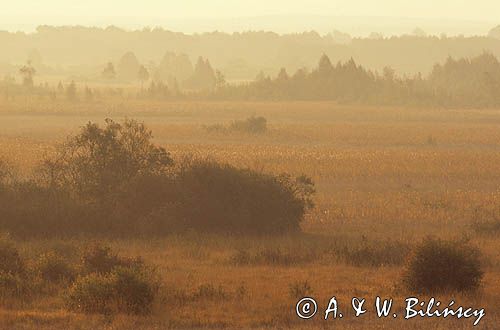 Poleski Park Narodowy
