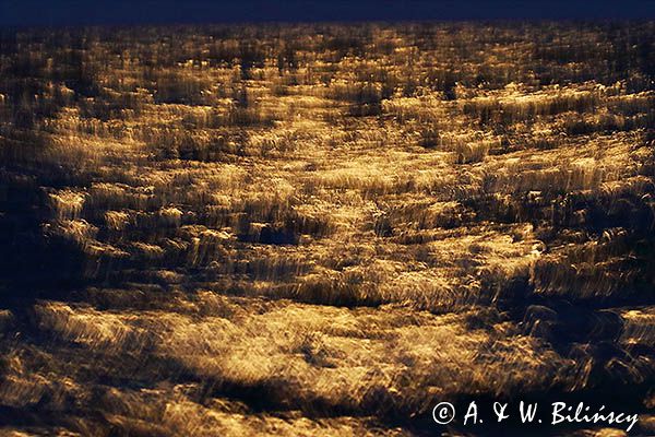 Bałtyk nocą w świetle Księżyca