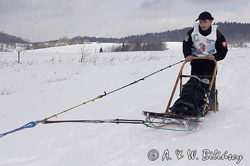 psi zaprzęg, wyścigi psich zaprzęgów, Kager Cup, W krainie wilka, Lutowiska, Bieszczady