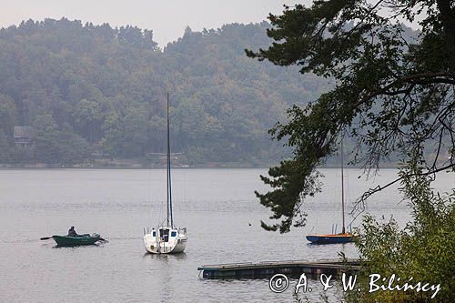 Zalew Rożnowski, widok z Tabaszowej