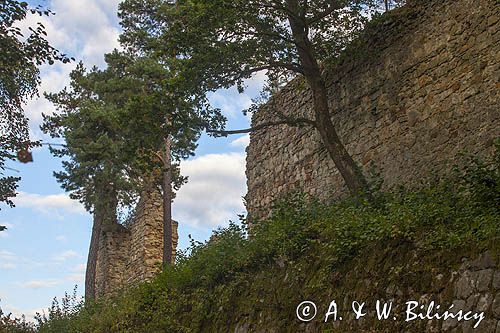 Ruiny Zamku Rożnów