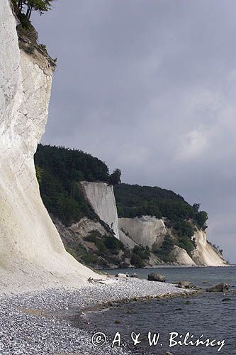 kredowe klify na wyspie Rugia, Park Narodowy Jasmund, Niemcy