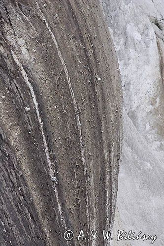 kredowe klify na wyspie Rugia, Park Narodowy Jasmund, Niemcy