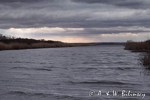Rzeka Elbląg, Elblążka, Żuławy Wiślane