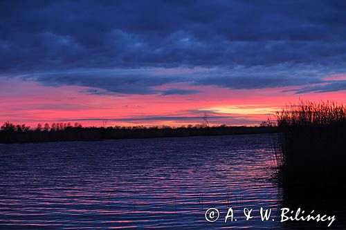 Rzeka Nogat, Żuławy Wiślane, zachód słońca