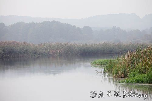 rzeka Noteć we mgle