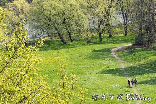 Sanok, łąki nad Sanem