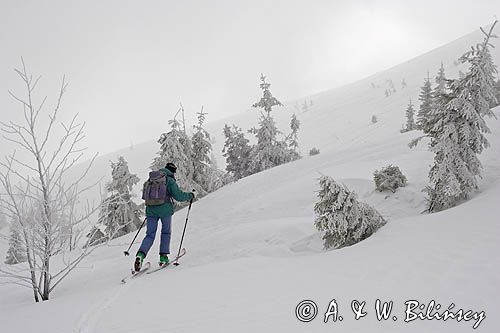 zima, skitouring w Tatrach, Tatrzański Park Narodowy