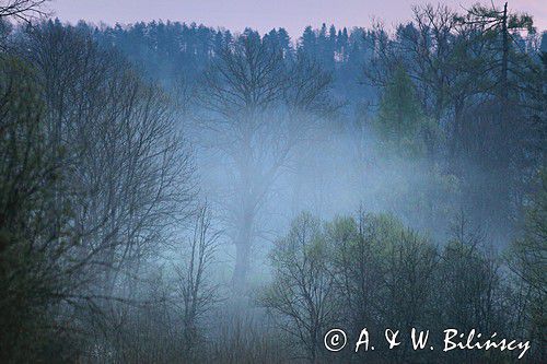 świt w Bieszczadach, Sokołowa Wola