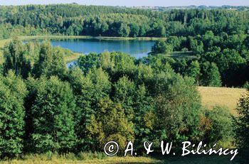 jezioro Jaczno Suwalski Park Krajobrazowy widok na Cisową Górę