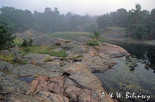 Szwecja, szkiery, wyspa Kroko