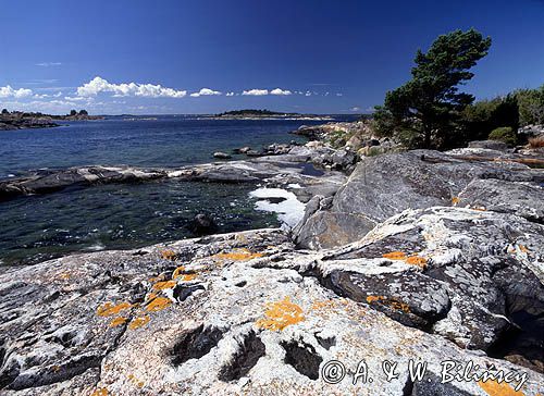 Wysepka Asskaren, koło Harsteny, szkiery szwedzkie, Szwecja