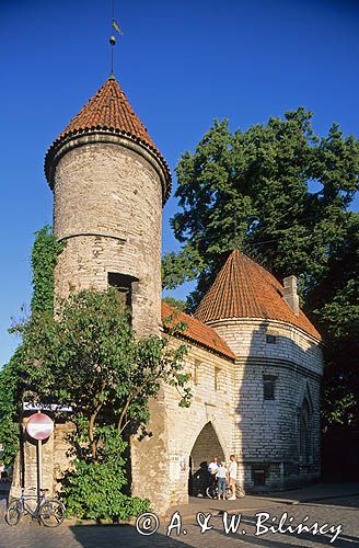 Tallin, Dolne Miasto, Baszta i brama Viru, Estonia