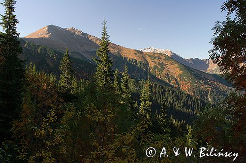 Tatry widok z Hali Tomanowej