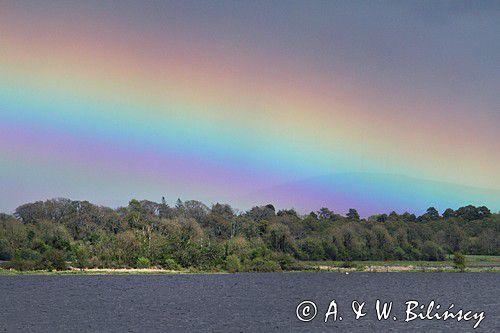 jezioro Lough Forbes, rzeka Shannon, rejon Górnej Shannon, Irlandia