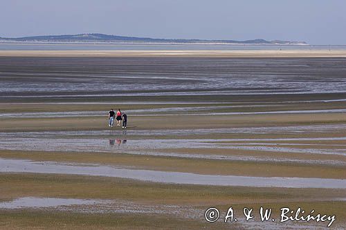 pieszo po morzu w czasie odpływu, wyspa Terschelling, Wyspy Fryzyjskie, Holandia, Waddensee