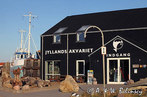 Jyllandsakvariet, Muzeum Akwarium w Thyboron, Limfjord, Jutlandia, Dania