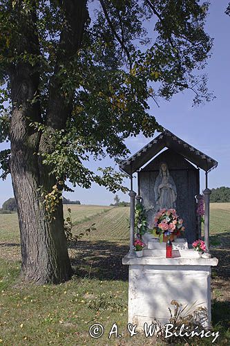 Trzcinica - kapliczka przydrożna