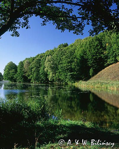 jezioro Turtul Suwalski Park Krajobrazowy