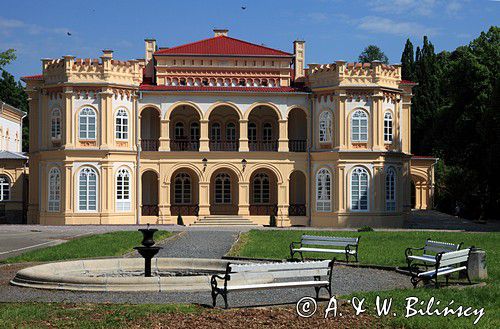 Pałac Wodzickich w Tyczynie