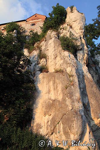 Opactwo, klasztor Benedyktynów w Tyńcu nad rzeką Wisłą