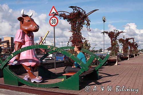 krowa na deptaku w Ventspils, Windawa, Łotwa Ventspils, Latvia