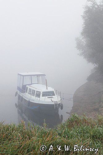rzeka Wisła, przy brzegu we mgle