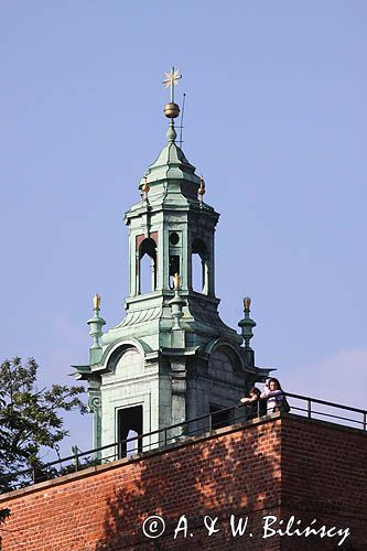 Wieża zegarowa, Katedra na Wawelu, Kraków, Małopolska