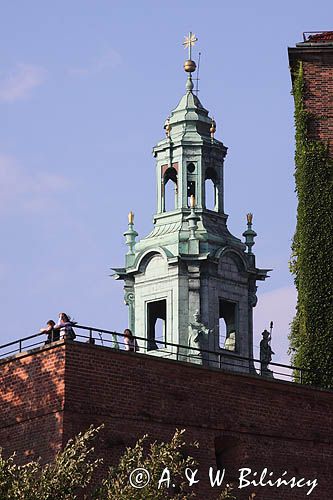 Wieża zegarowa, Katedra na Wawelu, Kraków, Małopolska