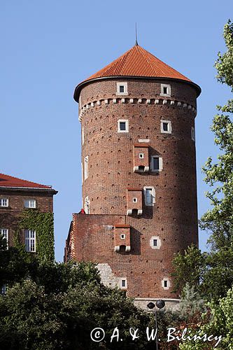 Wieża Senatorska na Wawelu, Kraków, Małopolska
