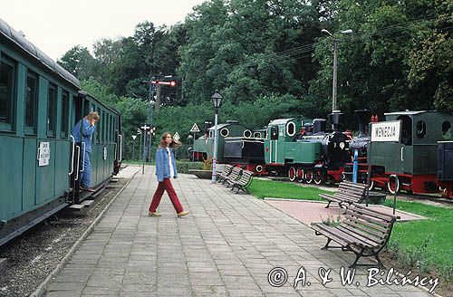 Wenecja, Muzeum Kolei Wąskotorowej
